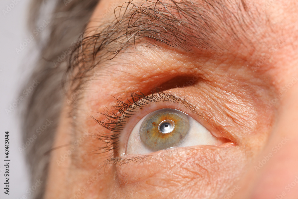 Naklejka premium eye of man, eyebrows, eyelashes, macro, focus on eye