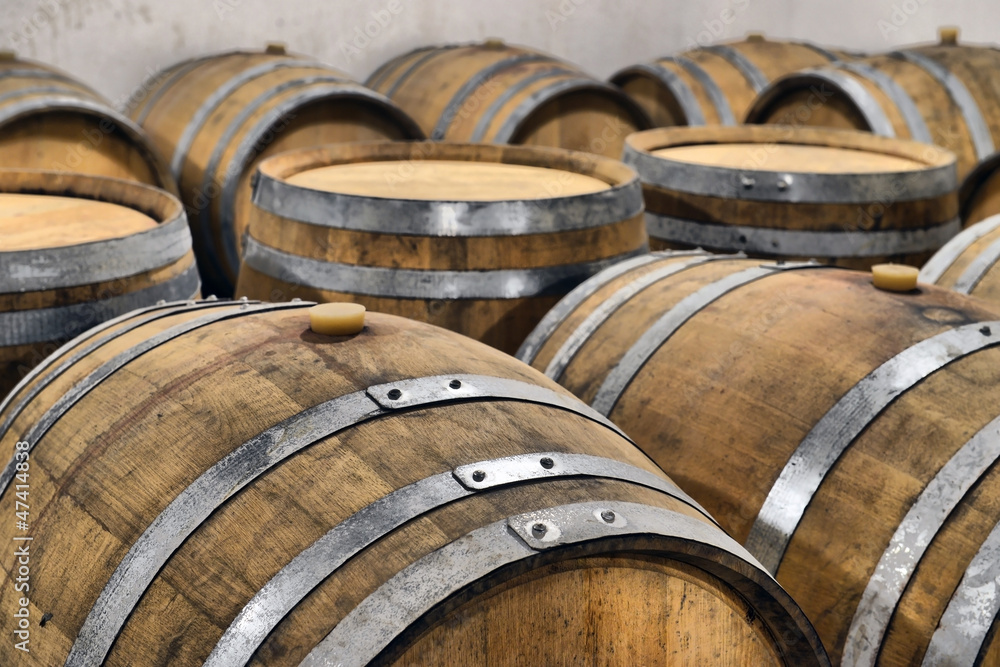 Casks in wine cellar