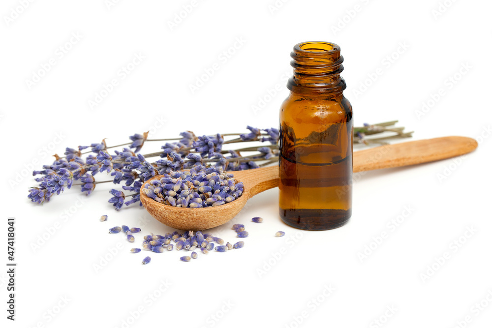 Dried lavender with a bottle of essential oil Dried lavender with a bottle of essential oil