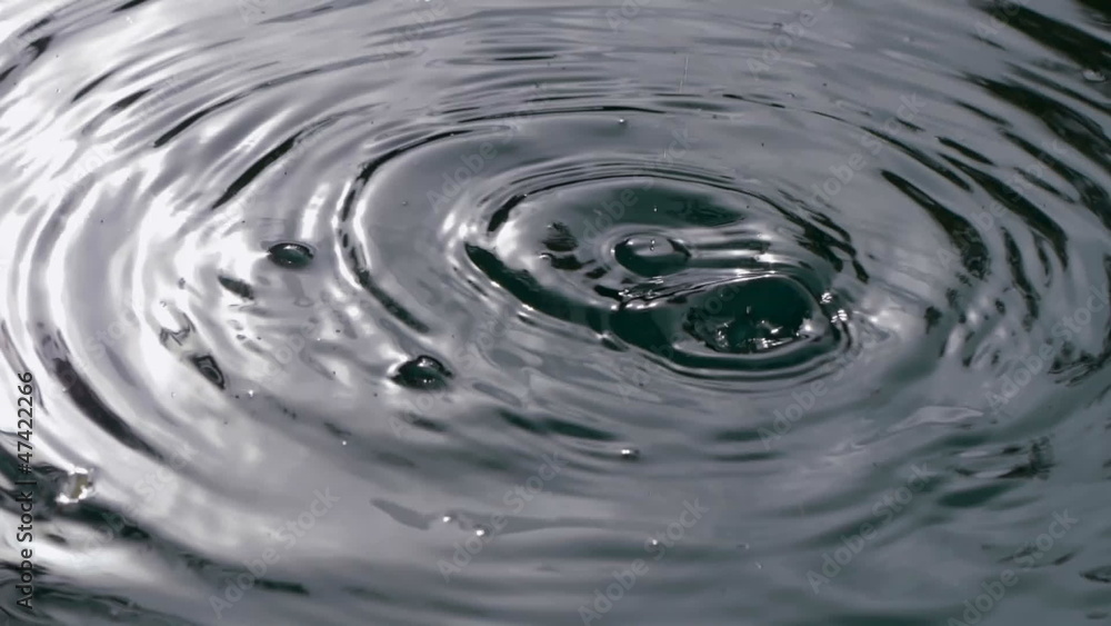 rain drops in water rain drops in water