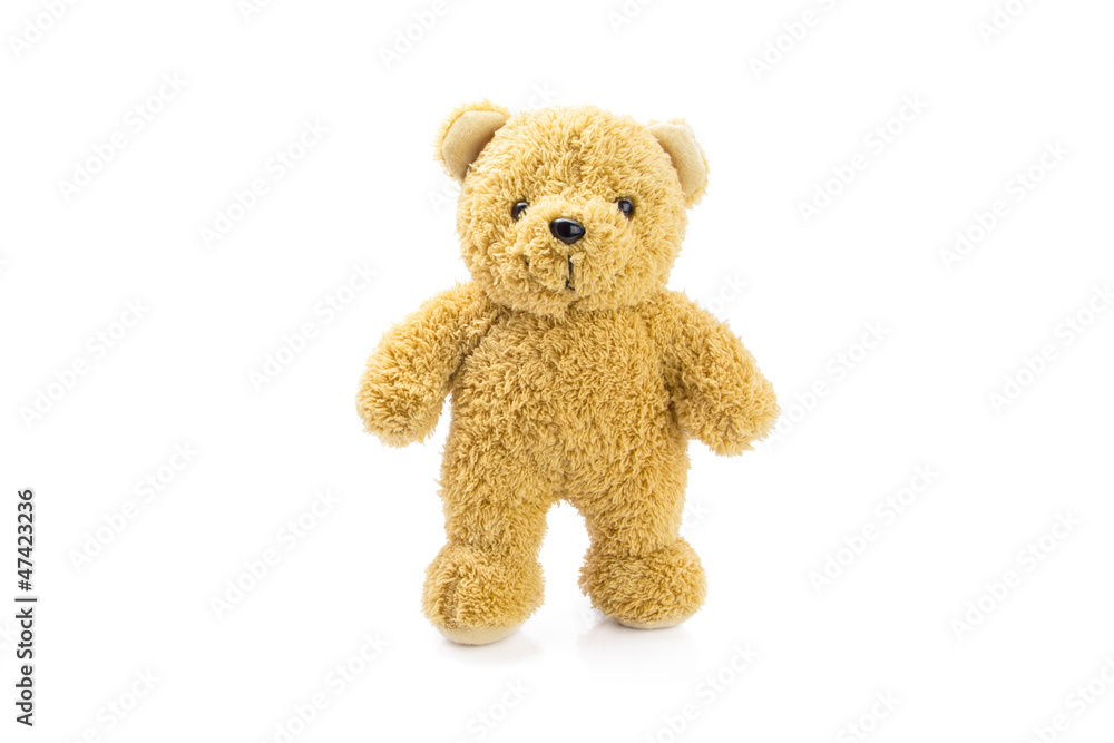 Obraz premium bear doll standing