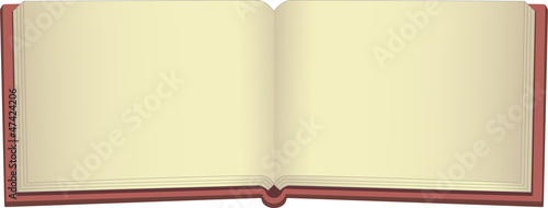 Blank opened vintage magic book