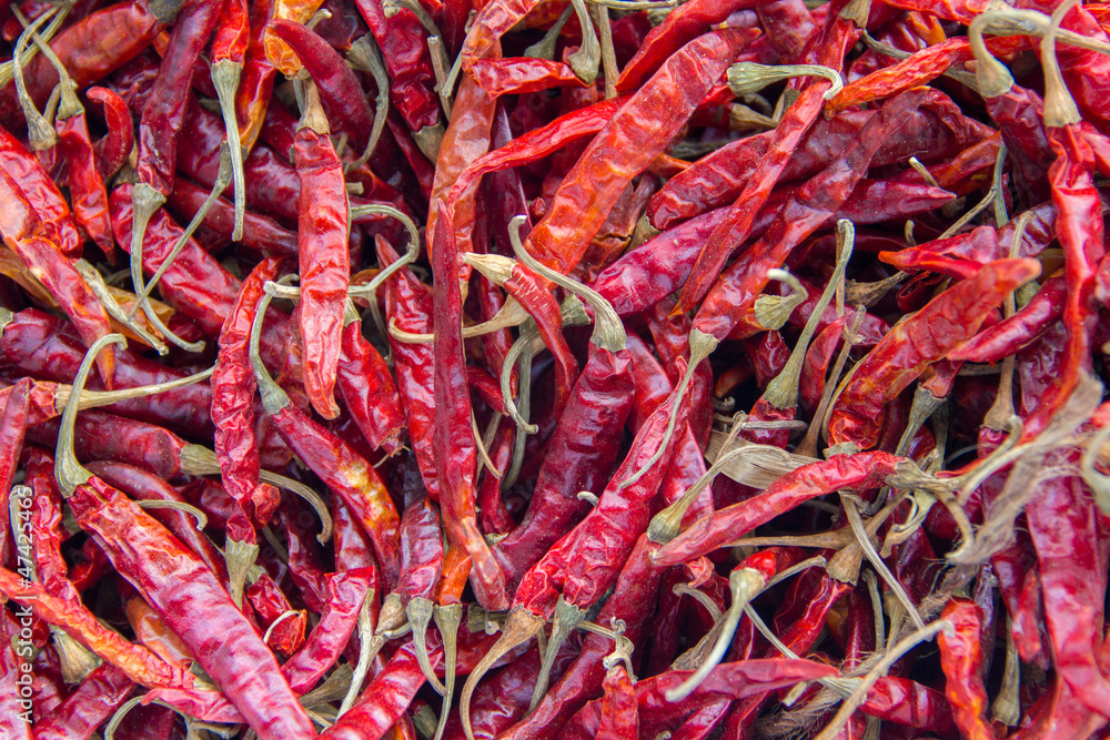 Fototapeta premium dried chilli
