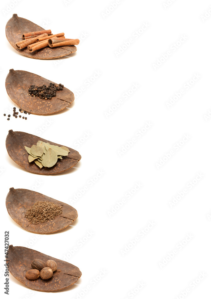 Spice collection on white background Spice collection on white background