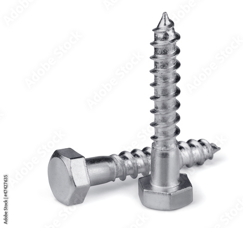 Two stainless steel lag bolts