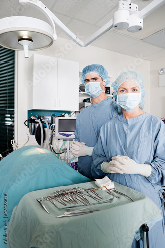 Veterinarian Surgeons In Operating Room