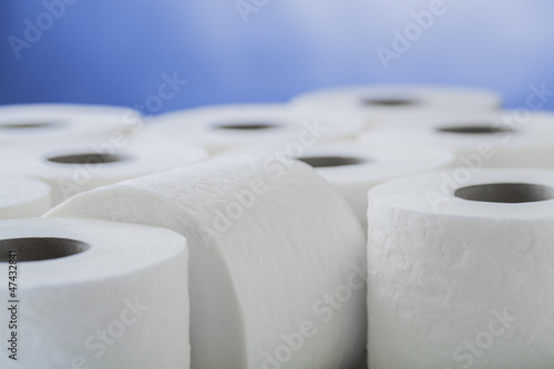 paper toilet rolls photo