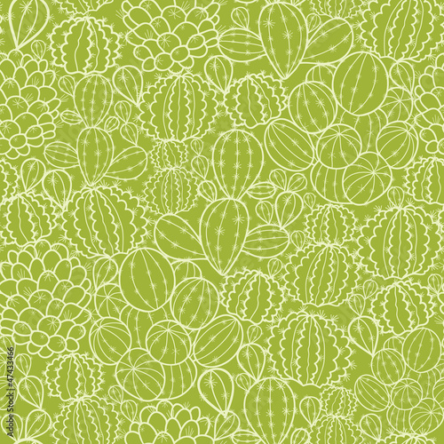 Vector cactus plants seamless pattern background with hand drawn