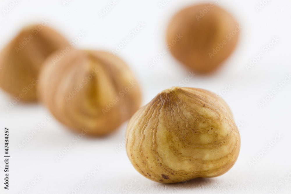 Hazelnuts isolated on a white background Hazelnuts isolated on a white background