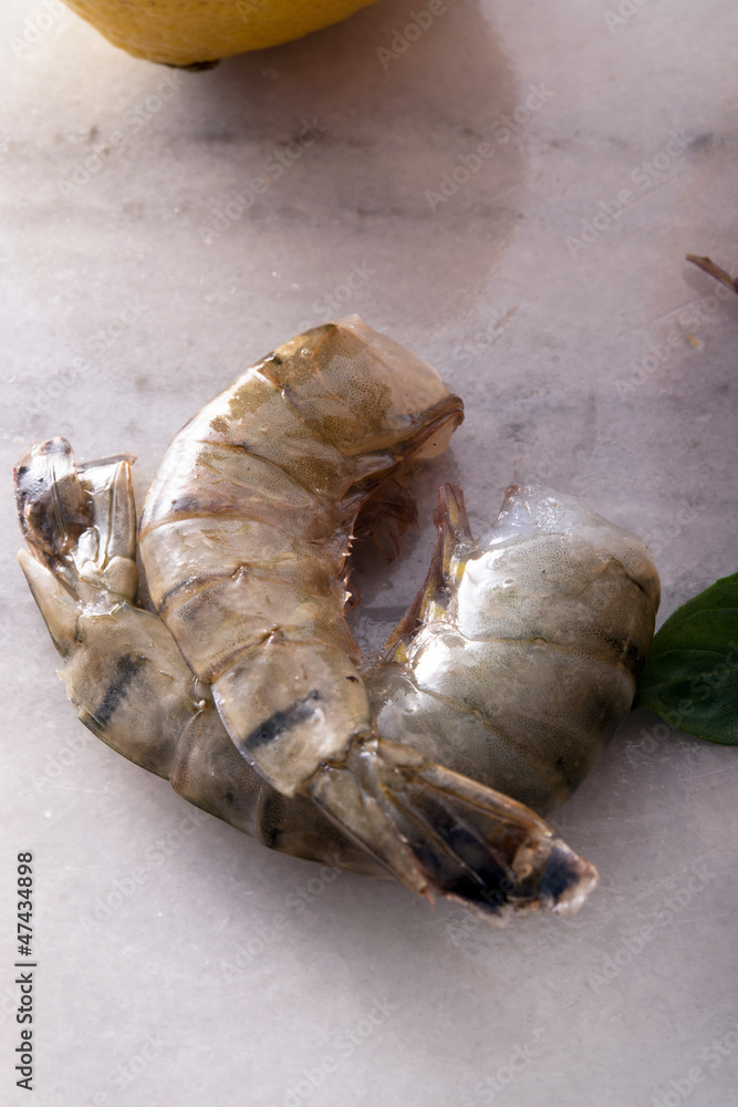 Fototapeta premium fresh shrimps
