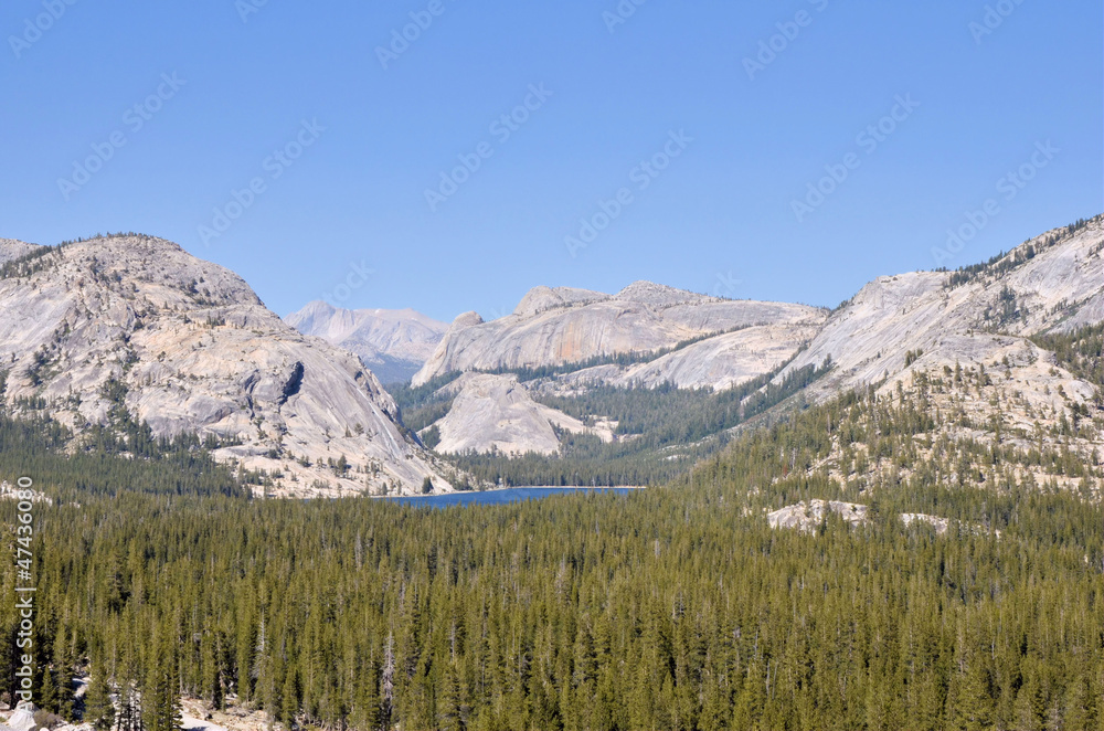 Mountain Landscape in Yosemite National Park
