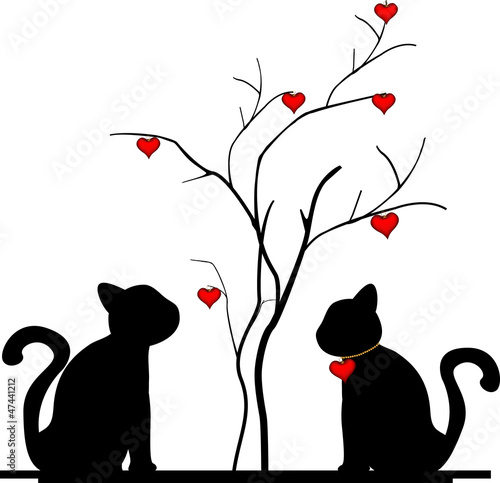 silhouette of a cat in the tree of love