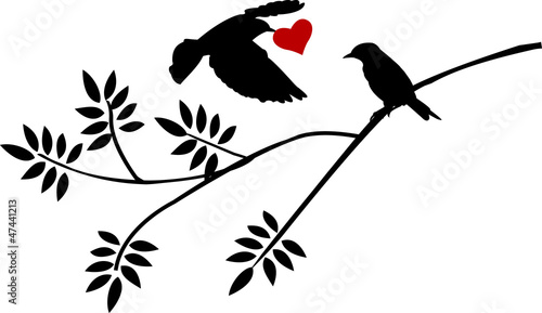 flying bird silhouette with a love for birds on a branch