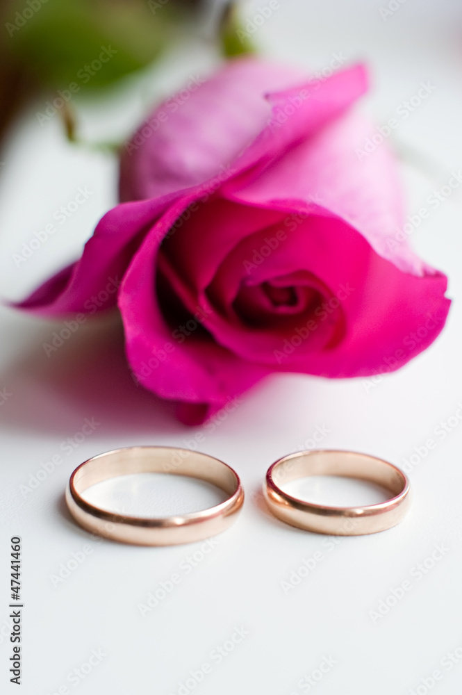 Purple rose and wedding gold ring on a white background. Purple rose and wedding gold ring on a white background.