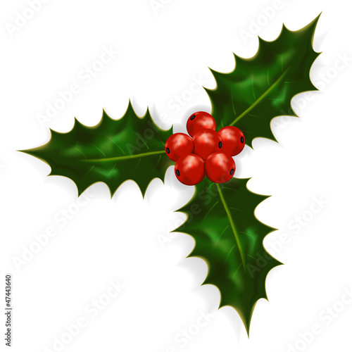 Holly berries