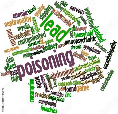 Foto Word cloud for Lead poisoning