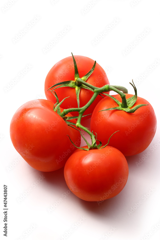 Tomatoes on the white background Tomatoes on the white background