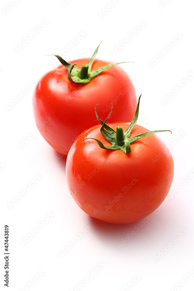 Tomatoes on the white background Tomatoes on the white background