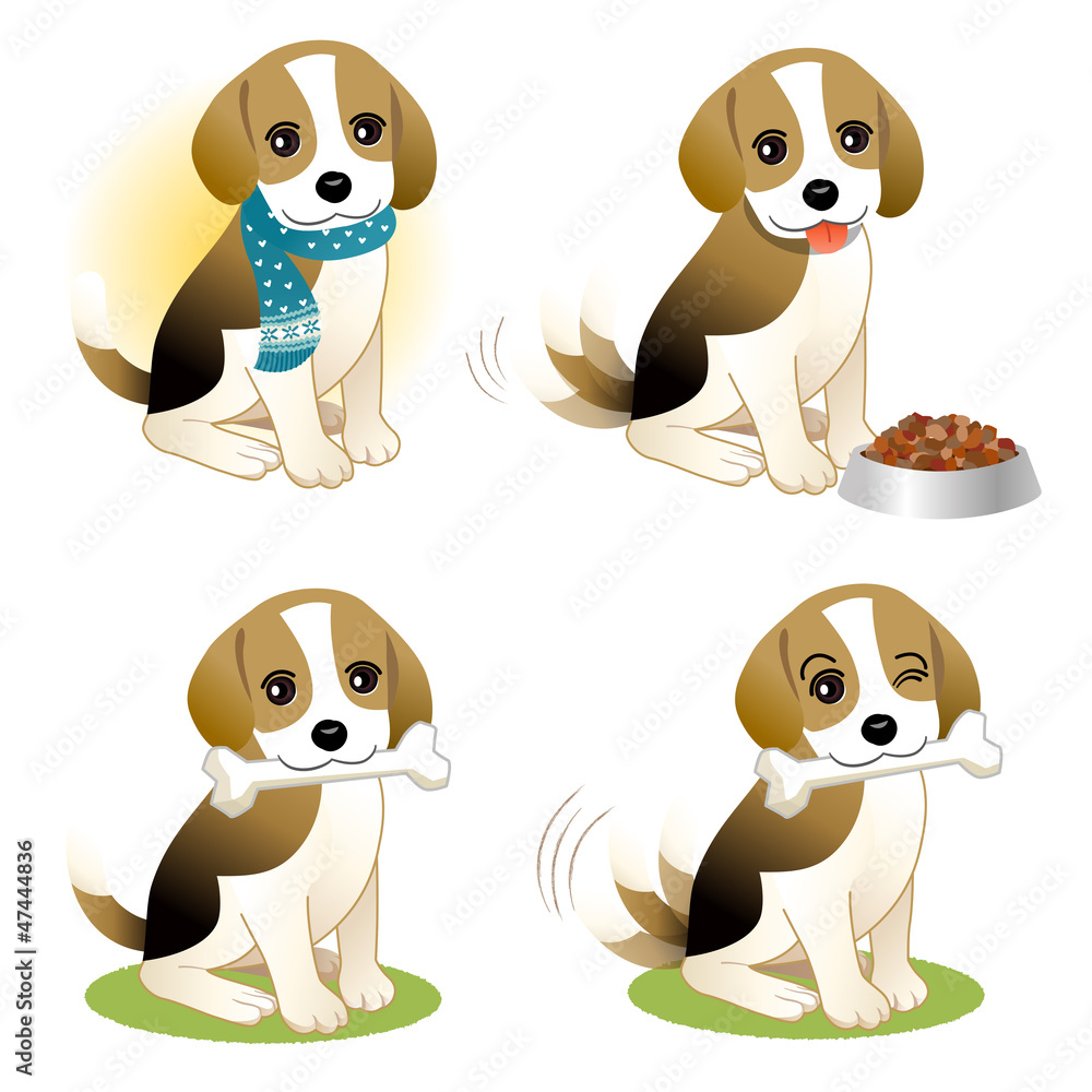 ビーグル犬 子犬 イラスト セット Stock Vector Adobe Stock
