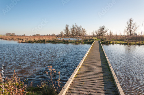 Narrow wooden gangway over a natural pond © Ruud Morijn