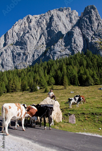 Monte Peralba Sorgenti del Piave  Friuli