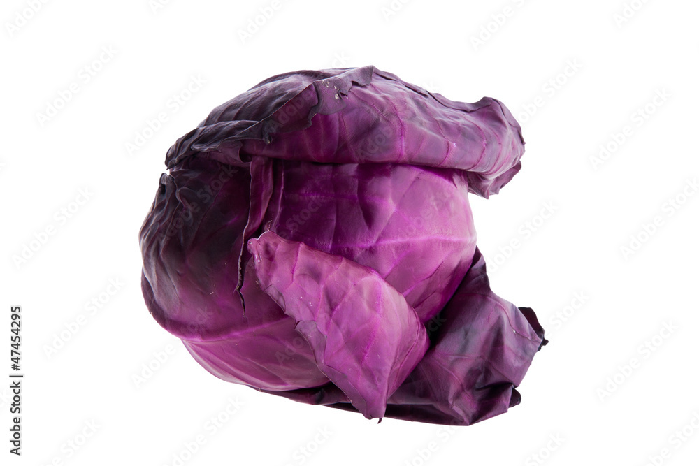 Fototapeta premium Red cabbage isolated on white