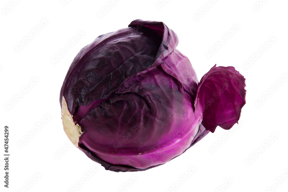 Obraz premium Red cabbage isolated on white