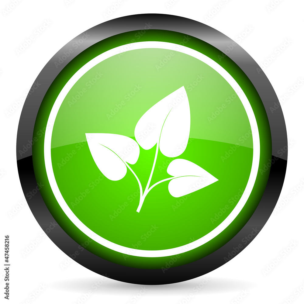eco green glossy icon on white background eco green glossy icon on white background