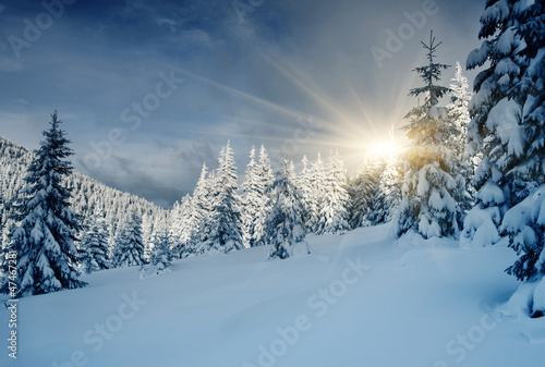 Wallpaper Mural Winter Torontodigital.ca