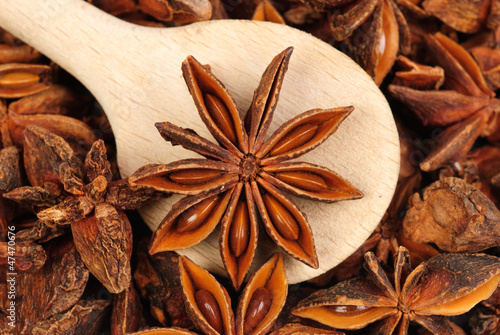 Fresh anise-star with  wooden  spoon, nature spice  background