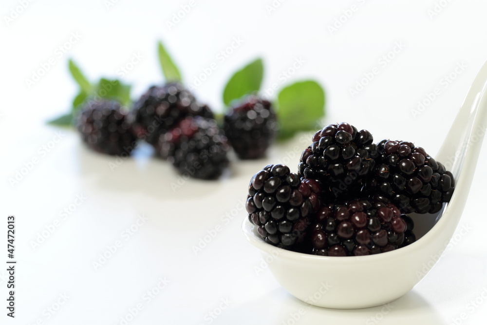 木苺のブラックベリーBlackberry 木苺のブラックベリーBlackberry