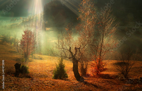 Beautiful autumn morning on the hills with sun rays photo
