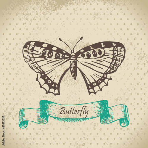 Butterfly. Hand drawn illustration photo