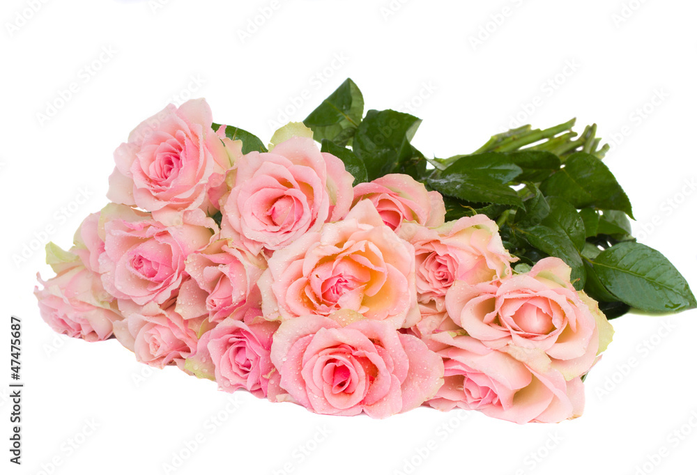bouquet of fpink  roses