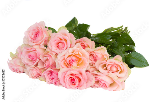 bouquet of fpink  roses photo