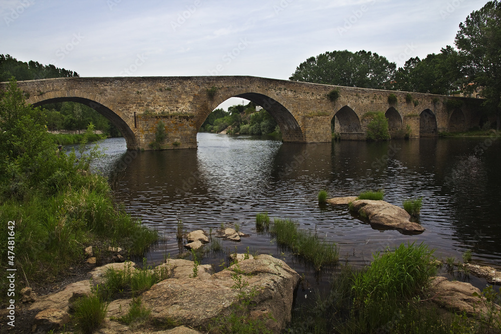 Puente Romanico sobre el rio Tormes.