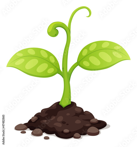 illustration of New born plant growing