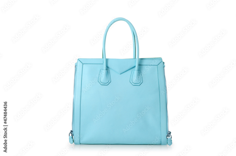 Elegant woman bag isolated on white Elegant woman bag isolated on white