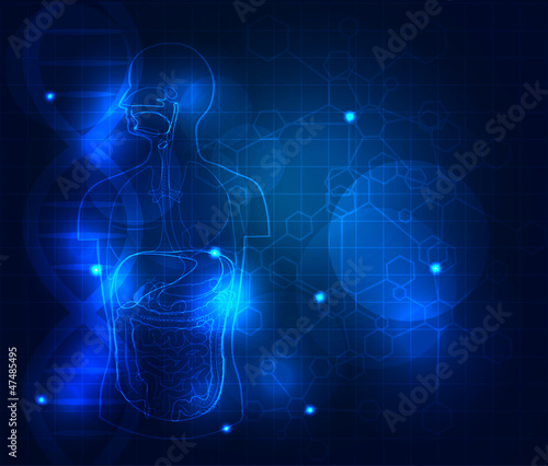 Abstract digestive system