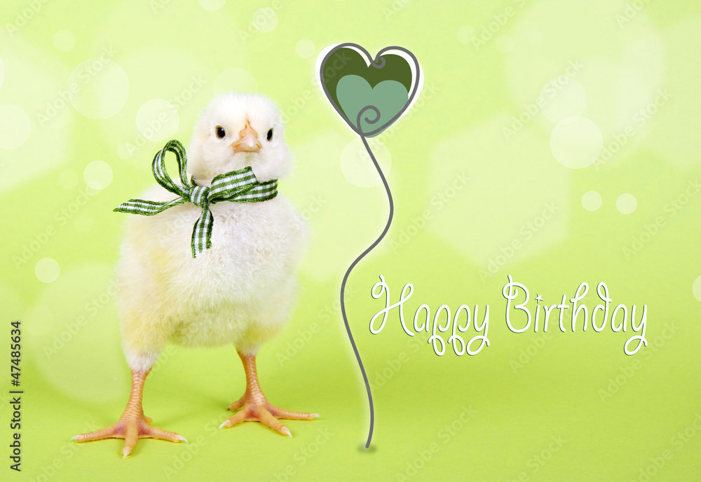 Geburtstagskarte mit Küken StockFoto Adobe Stock