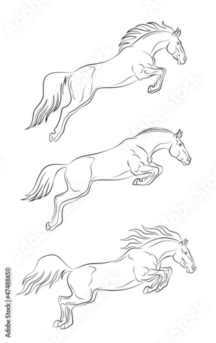 Jumping horse