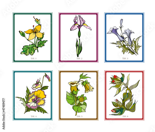 tavole fiori