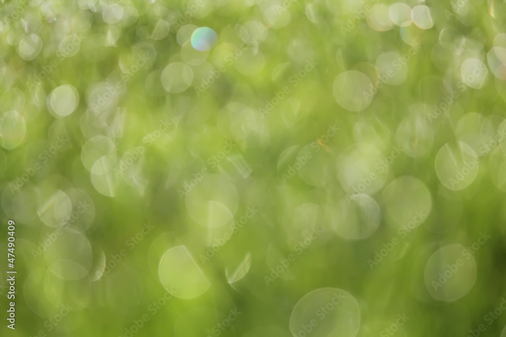 Obraz premium Abstract blurred soft background