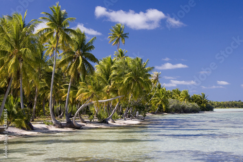 Fotografi Cook Islands - South Pacific