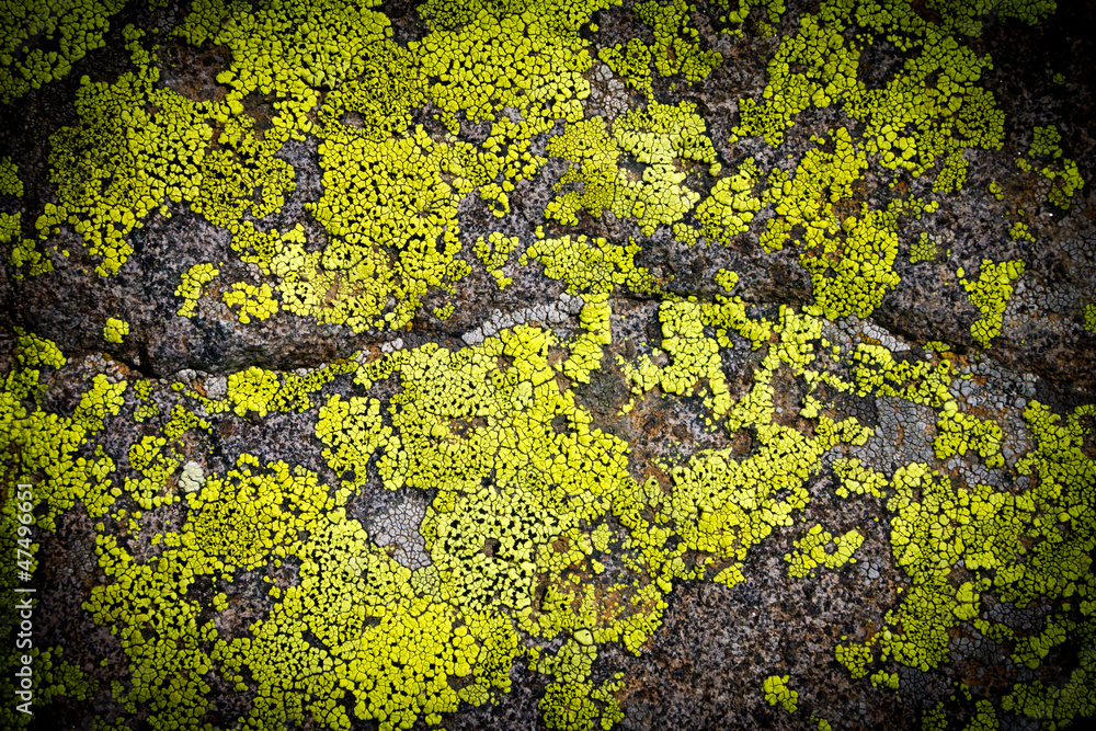 Dark Grungy Rock Background Texture Pattern Dark Grungy Rock Background Texture Pattern