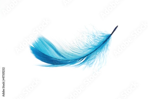 Canvas-taulu feather