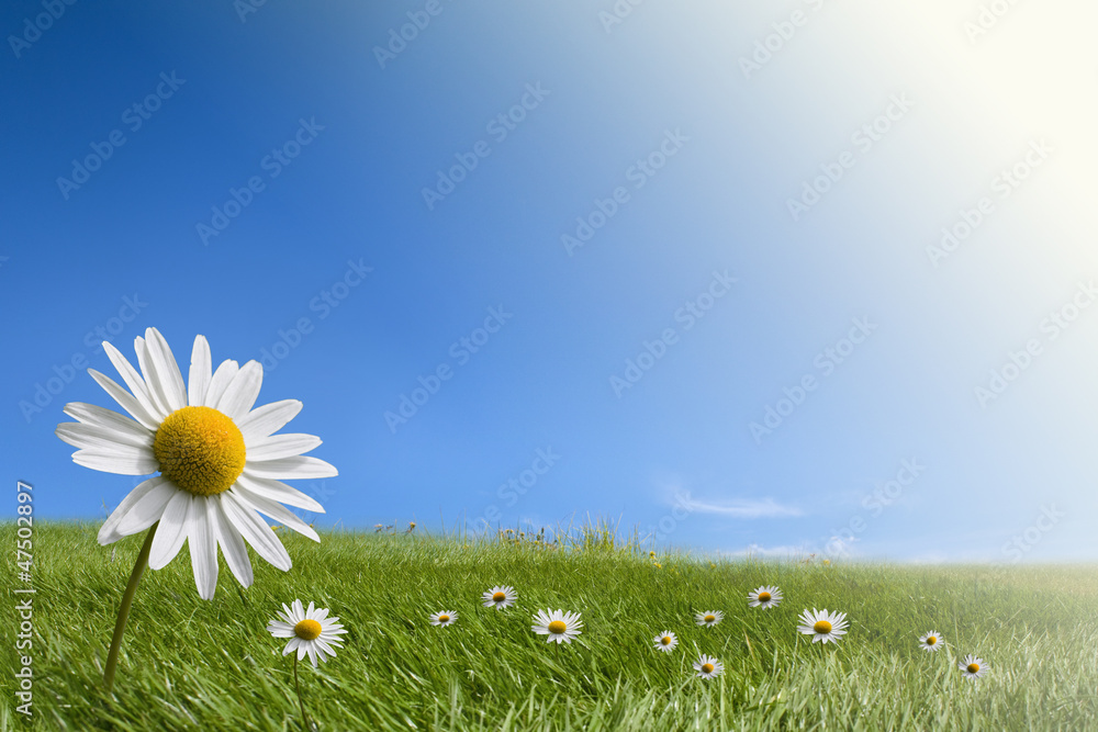 Obraz premium Green environment concepts