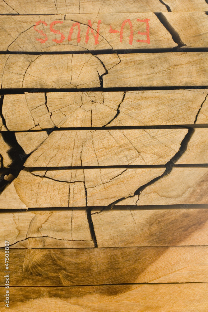 Holz Holz