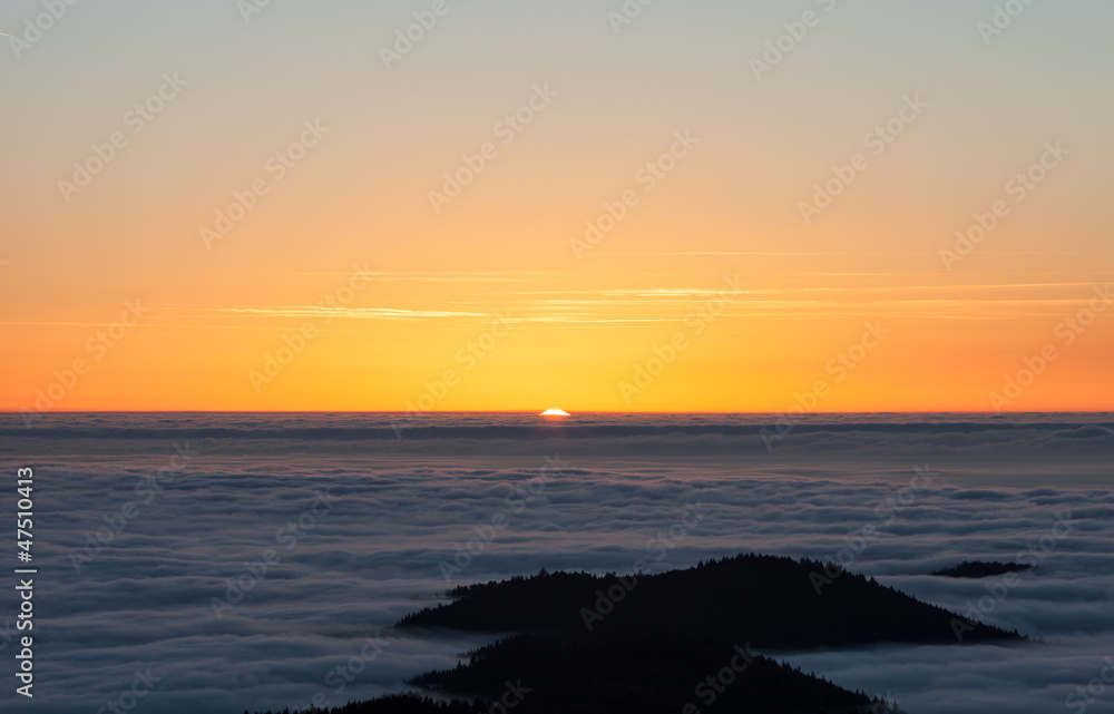 Obraz premium sunset over black forest fog
