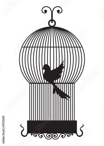 Bird cage